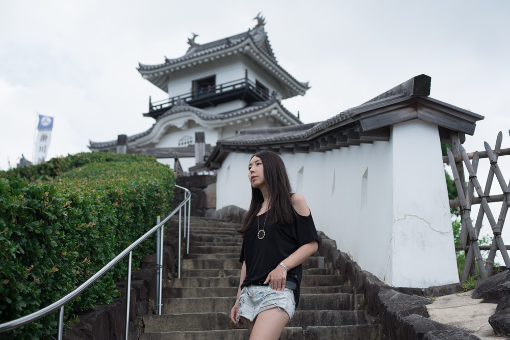 kakegawa castle. stairs up to top.